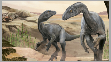 Палеантолагі знайшлі ў Аргенціне астанкі аднаго з найстаражытных дыназаўраў узростам каля 230 млн гадоў