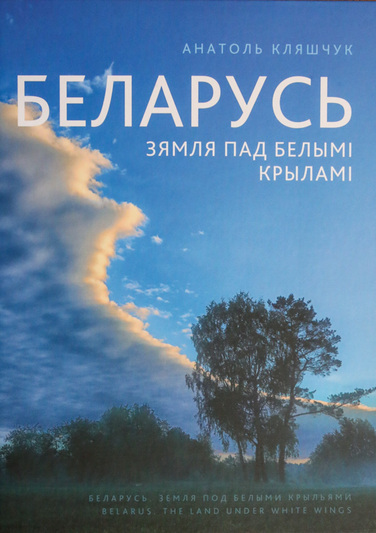 На Мінскай міжнароднай кніжнай выстаўцы-кірмашу назвалі імёны пераможцаў конкурсу «Мастацтва кнігі»