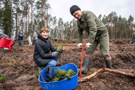 Каля 14 гектараў лесу дапамаглі аднавіць прадстаўнікі ФПБ на Магілёўшчыне