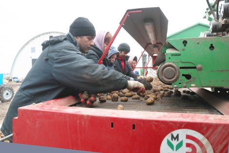 Бульба — на базе