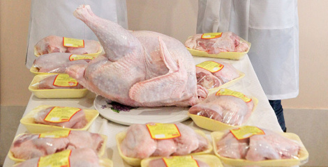 Беларусь атрымала права экспартаваць мяса індычкі ў Кітай