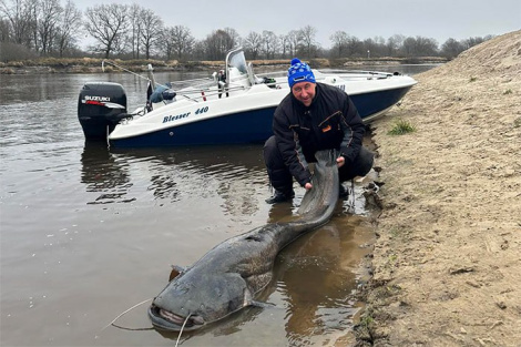 Мінчанін выцягнуў з Прыпяці сома памерам з лодку