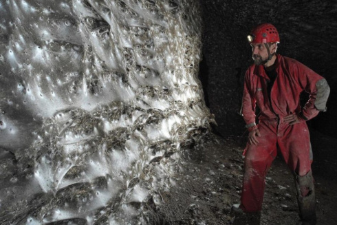 Кошмар арахнофоба: ученые обнаружили паутину размером с квартиру