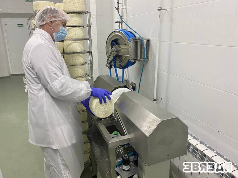 На Нарачы адкрылі лінію вытворчасці сыроў з блакітнай цвіллю