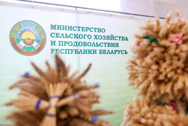 Harvesting of key crops nears completion in Belarus