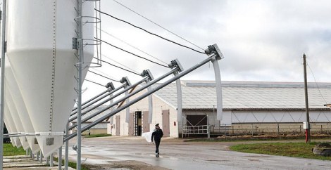 Справа зрушылася. Як у Віцебскай вобласці па даручэнні Прэзідэнта наводзяць парадак на прадпрыемствах АПК