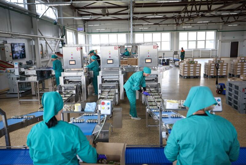 Lukashenko hosts conference in Soligorsk to discuss poultry farming trends