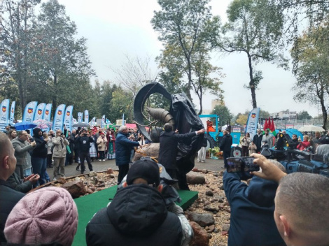 Вясёлыя «Дажынкі» у Белаазёрску: крэветка, стадыён і басейн