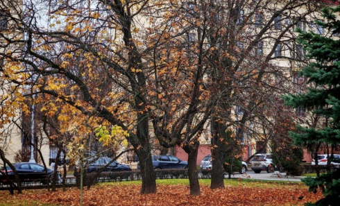 Как жители Минской области могут преобразить свой двор или деревню за счет бюджета