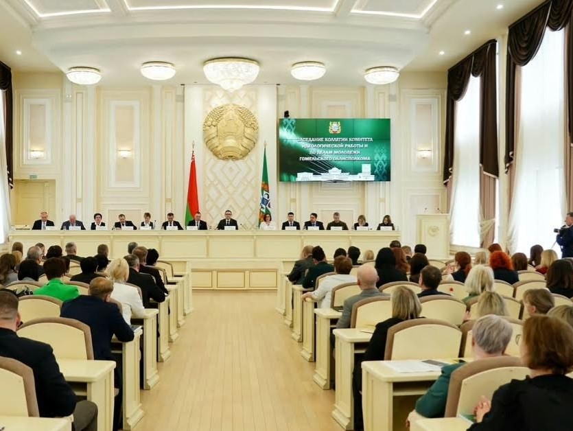Итоги работы идеологической вертикали подвели на Гольмельщине