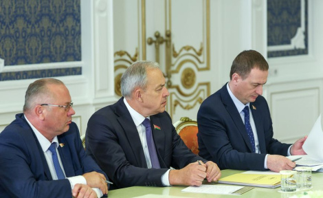 Аляксандр Лукашэнка: «У невялікія вёскі, хай нават неперспектыўныя, варта прыцягнуць гандлёвыя сеткі для абслугоўвання насельніцтва»