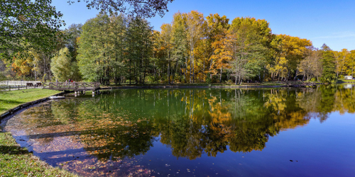 Воздух прогреется до +11. Какой будет погода 20 октября