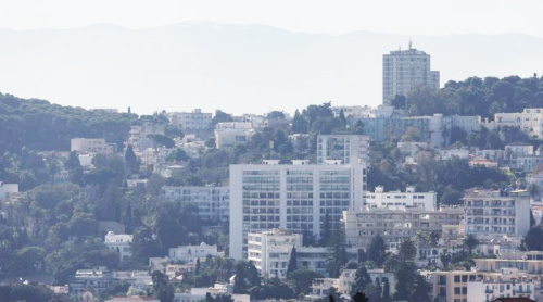 Algeria is back in the game: Why Belarus is betting on North Africa