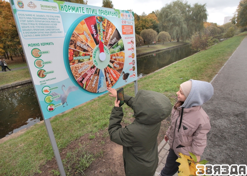 Carlson and his friends came to the park