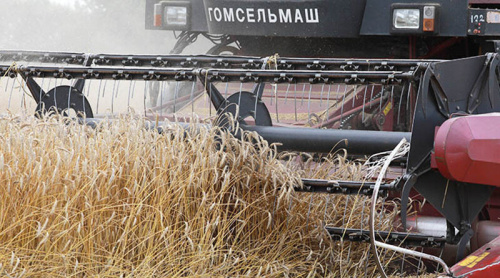 Belarus harvests over 11m tonnes of grain, including rapeseed and corn