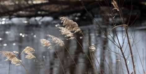 На рэках Беларусі чакаецца рост узроўняў вады