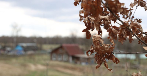 Як набыць дом за 42 рублі, расказалі в БУТБ