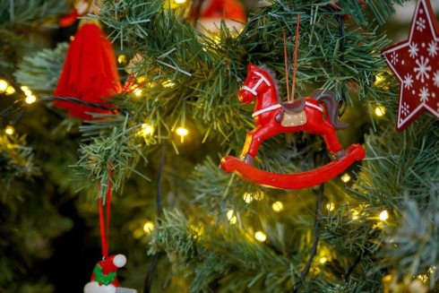 Разбираемся как встречать год Огненной Лошади, чтобы притянуть успех и благополучие в 2026 году 