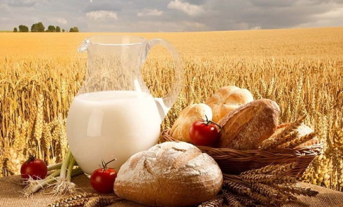 Лукашенко поздравил работников АПК с профессиональным праздником 