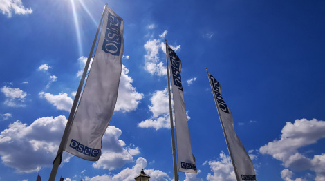 Дапкюнас: Спроба ігнараваць шматгалоссе і разыходжанне меркаванняў у АБСЕ — шлях да разбурэння арганізацыі