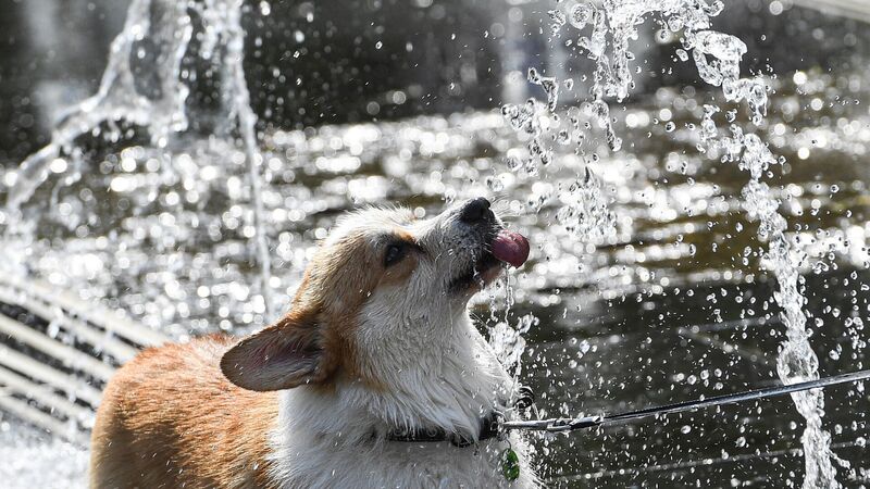 Надвор'е: будзе горача і дажджліва