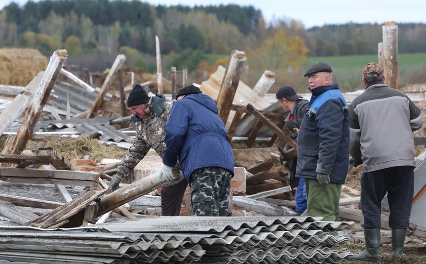 Поврежденные кровли, разрушенный телятник: в Могилевской области ликвидируют последствия сильного ветра