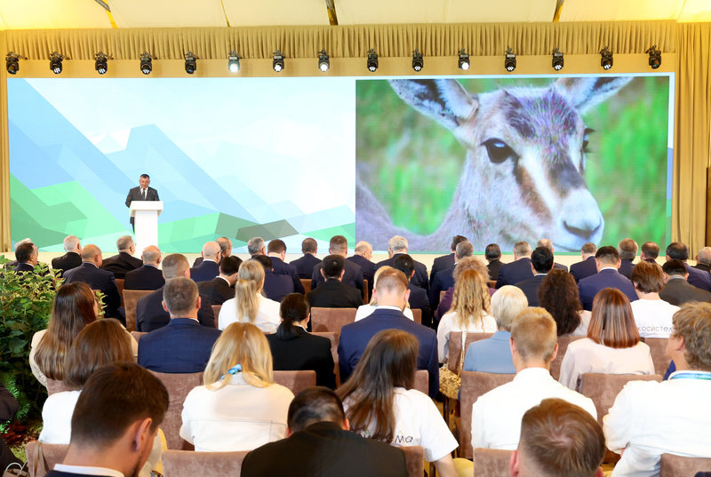 PM: Minimization of anthropogenic impact is a strategic priority for Belarus