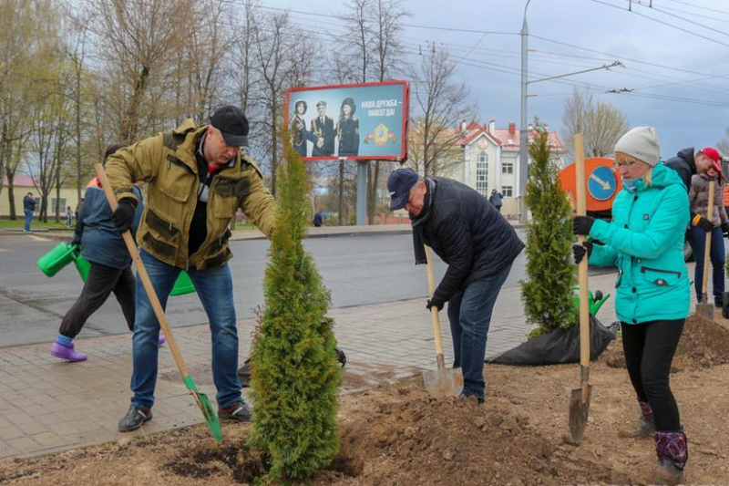Чем украсят улицы и дворы Беларуси?