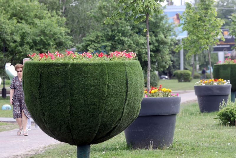Gomel launches flower planting initiative