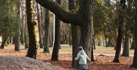 Воблачна, невялікія ападкі. Якім будзе надвор’е ў Беларусі 20 лістапада