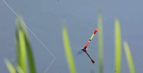 У Беларусі з 1 кастрычніка будзе ўведзена забарона на лоўлю ўсіх відаў рыб на зімавальных ямах