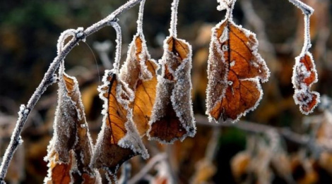 Ноччу ўжо да мінус 9 °С