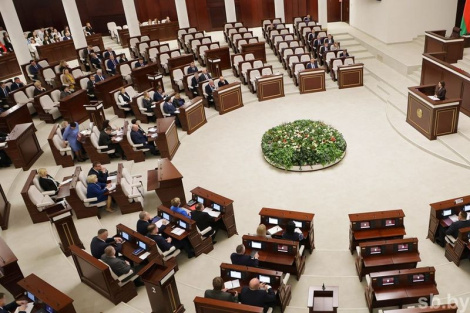 Савет Рэспублікі адобрыў закон аб бюджэце фонду сацыяльнай абароны насельніцтва на 2026 год