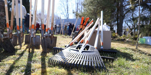 Республиканский субботник пройдет в Беларуси 25 октября