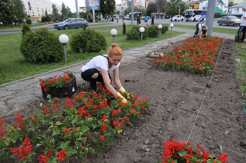Gomel launches flower planting initiative