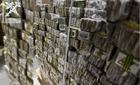 Найбуйнейшую ў гісторыі Беларусі пастаўку з ЕС на тэрыторыю ЕАЭС партыі наркотыкаў спынілі беларускія мытнікі