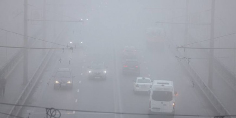 Туман зніжае бачнасць: МУС нагадала аб мерах бяспекі