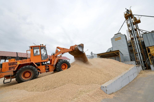 З палёў краіны ўбрана 10,8 мільёна тон збожжа