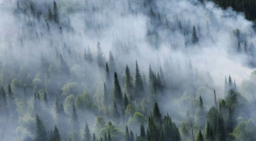 Больш за 400 дамоў згарэлі з-за лясных пажараў у Канадзе