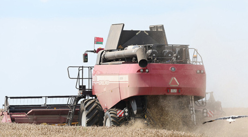 Nearly 8.5m tonnes of grain threshed in Belarus
