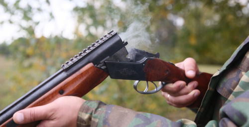 «Папярэдзіць выхад у вёскі і гарады». Чаму ў Беларусі цяпер можна паляваць на рысь і мядзведзя