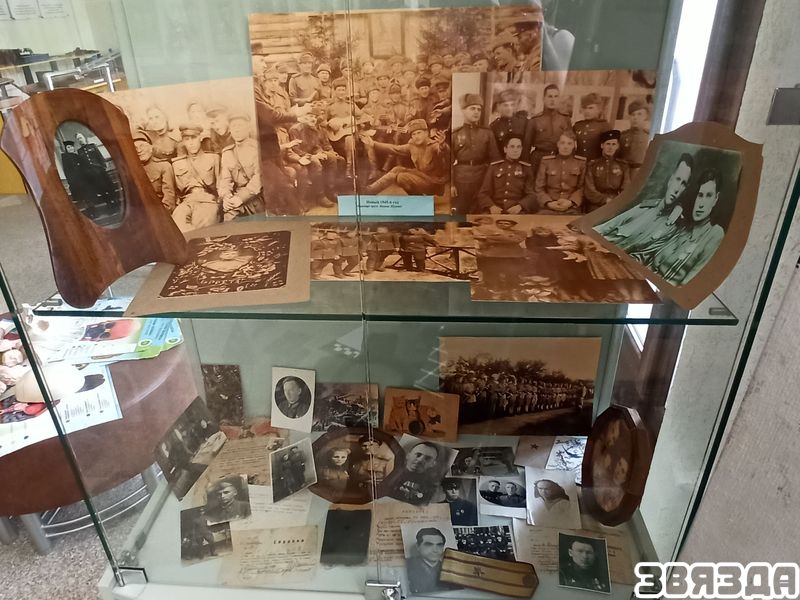 Магілёўскую вобласць вызвалілі за тыдзень