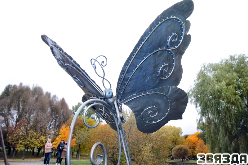 Carlson and his friends came to the park