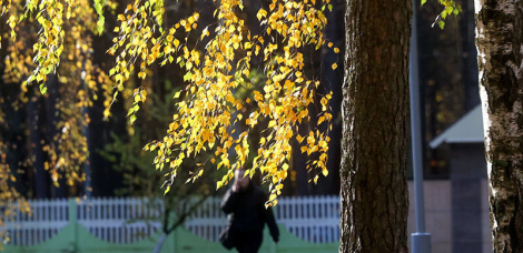 Якое будзе надвор’е ў Беларусі 9 лістапада