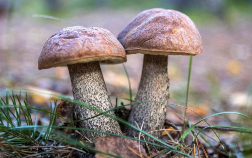 Кажуць, што ўспаміны — гэта адзіны рай, з якога нас ніколі не выганяць. Такім чынам...