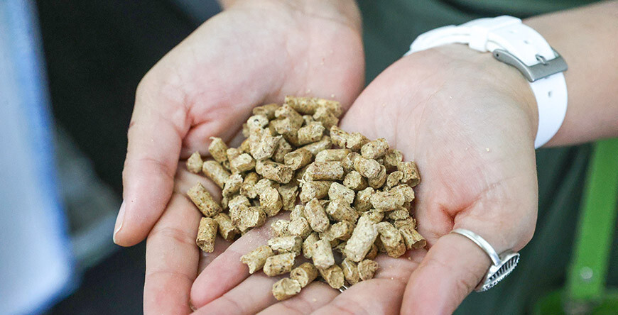 Мінлясгас змяніў фіксаваныя рознічныя цэны на паліўныя пелеты для насельніцтва