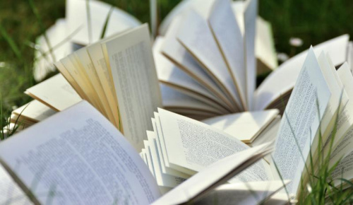 Чым парадуюць кніжныя навінкі «Звязды»?