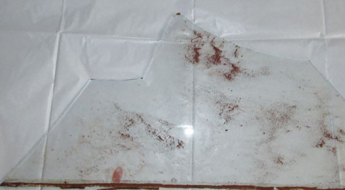 По отпечатку пальца на стекле в Мозыре установили серийного дачного вора