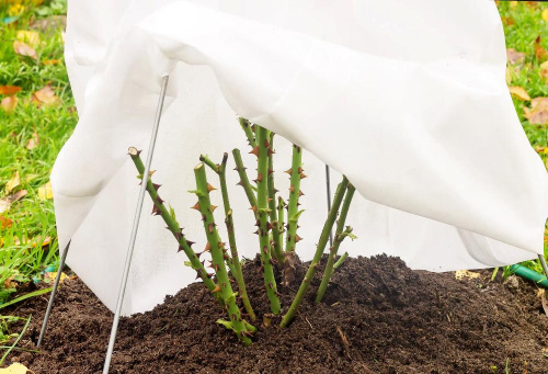 Хаваем расліны на зіму