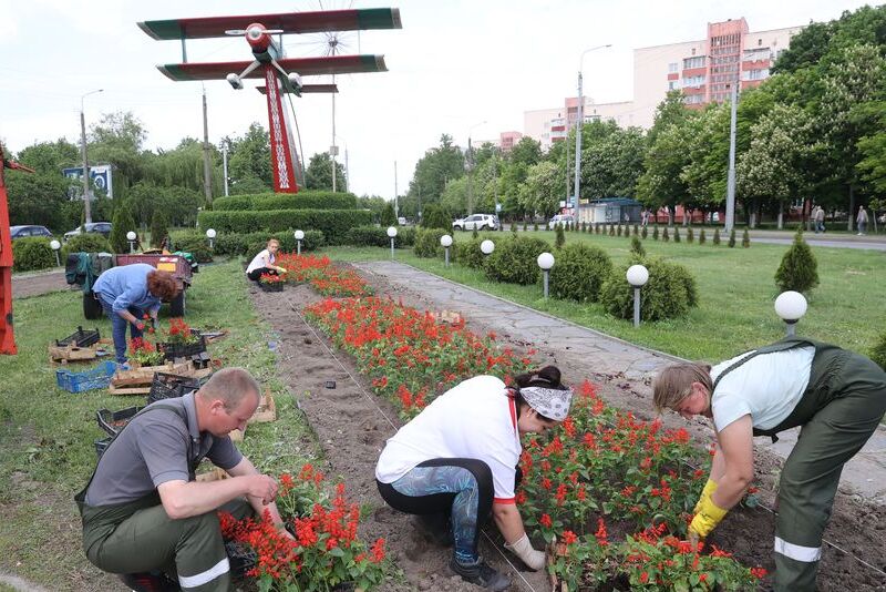 Gomel launches flower planting initiative